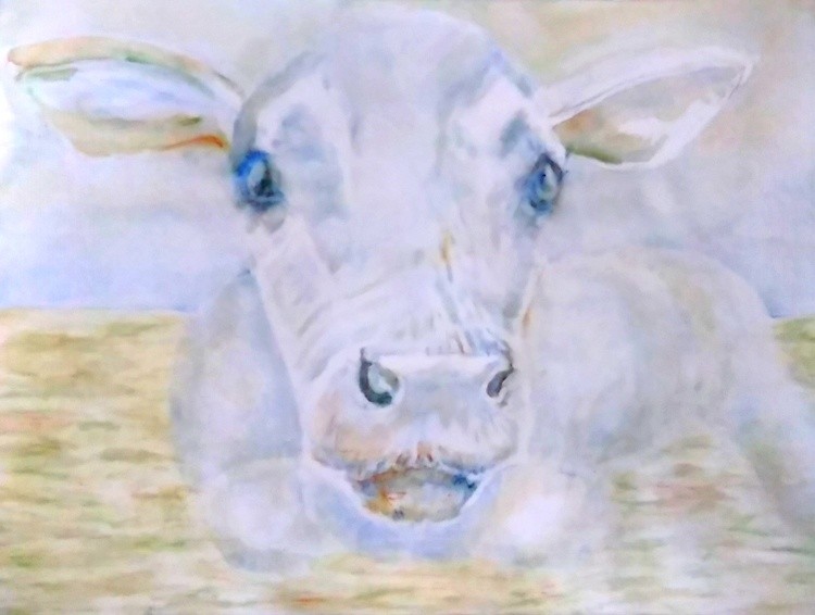 Lily Watercolor
