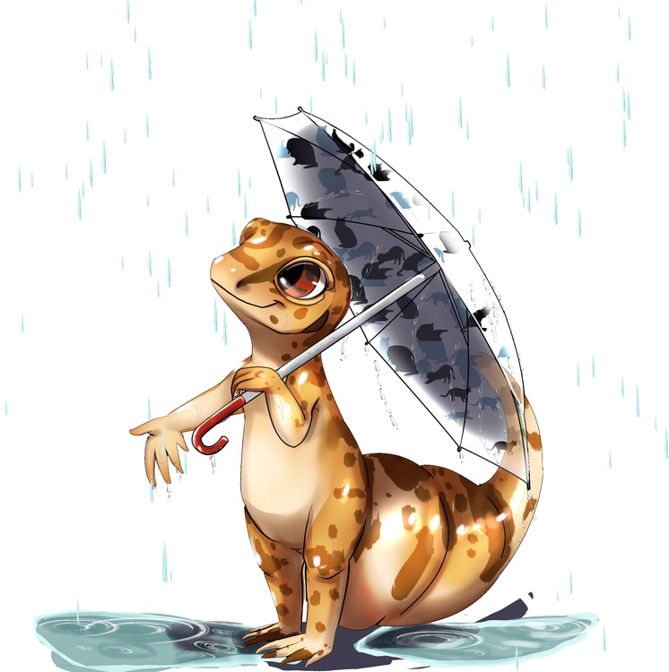 Rainy Day