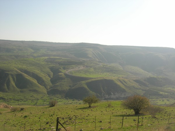 Hills of the Galilee