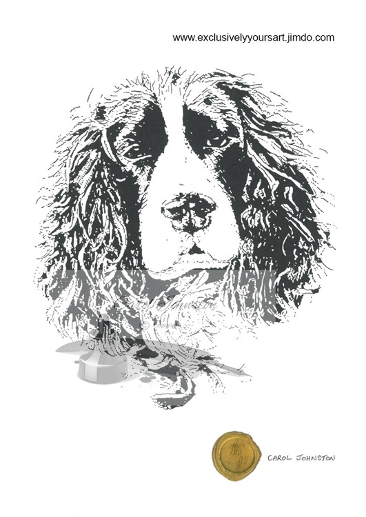 CJ Spaniel