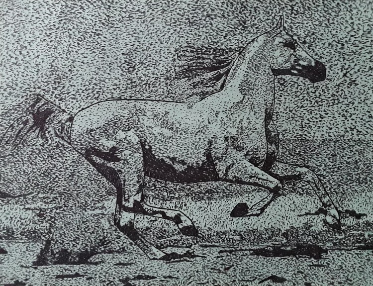 Horse on the Beach pointillism drawing 