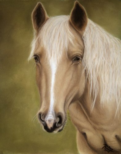Palomino Beauty