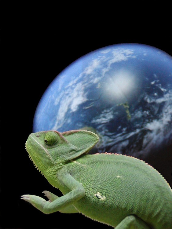 Cham-Alien
