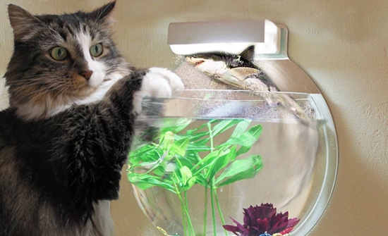 Move your Paw!
