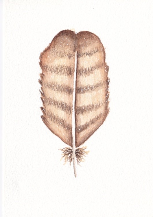 feather brown