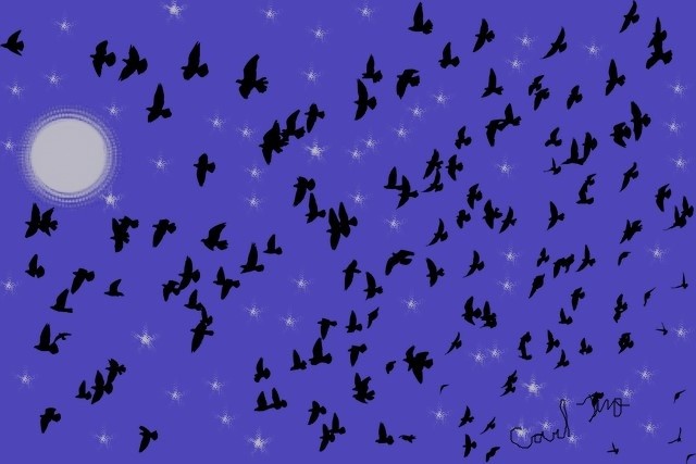 night moves