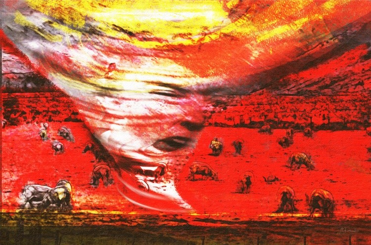 Trump Canvas