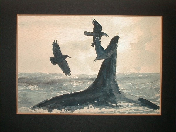ORCA and ravens