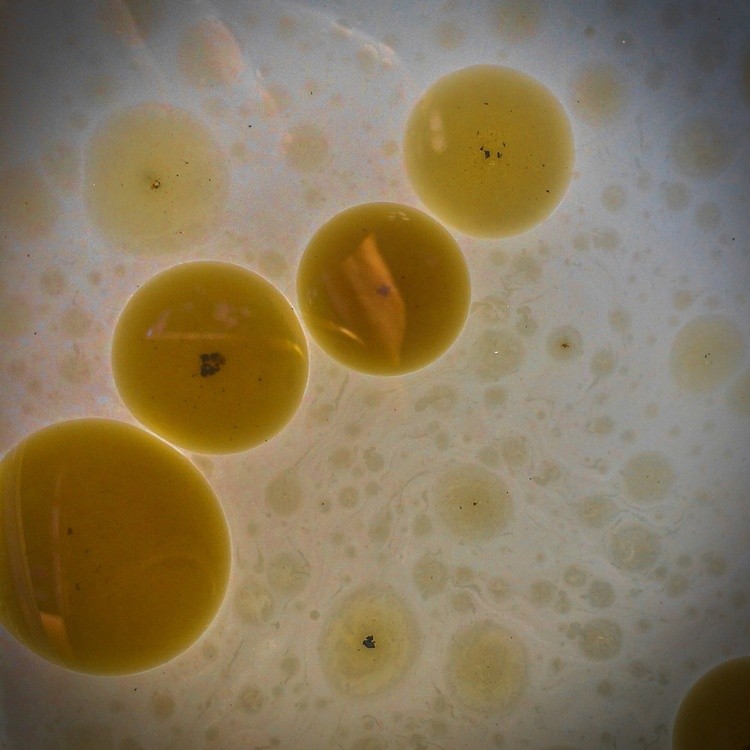 tyson kennemer-eggs unknown