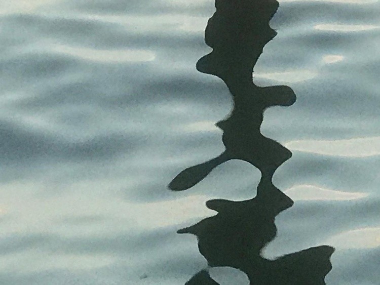 BayReflections