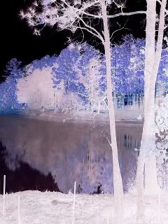 Lake Blue