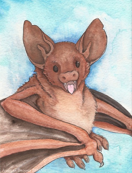 Happy Bat