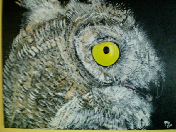 owl eye
