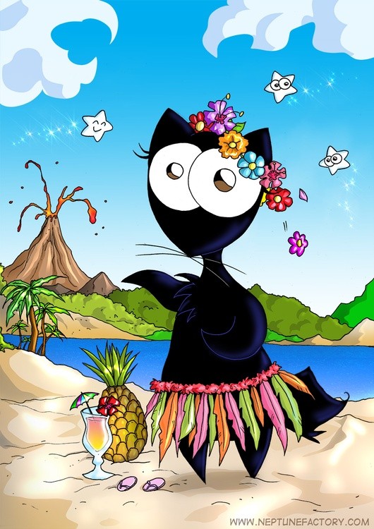 Micia in Hawaii