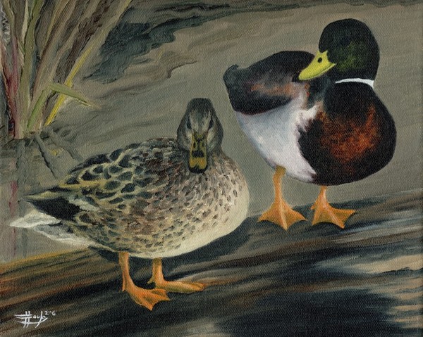 Hanging Out - Mallards