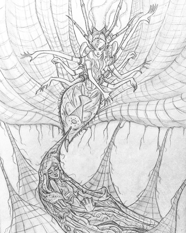 Weaving Spiders come not here