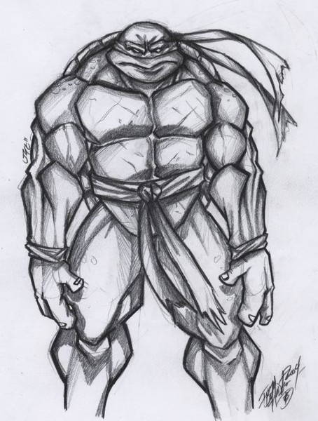 Tortuga Wip