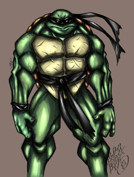 Turtle got colored
