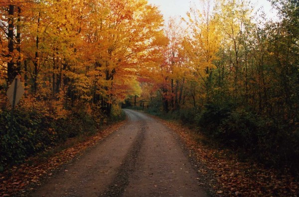 The many colors of an autumn drive