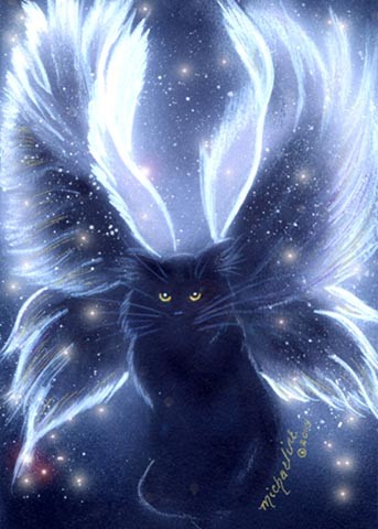Truth Fairy Cat