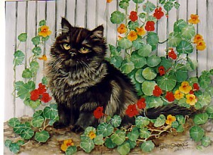 lack cat with nasturtiums