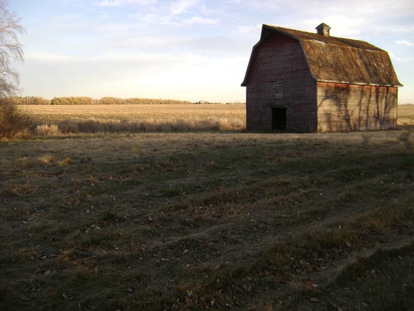 The Barn...