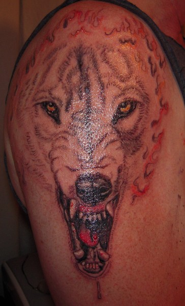 Wolf
