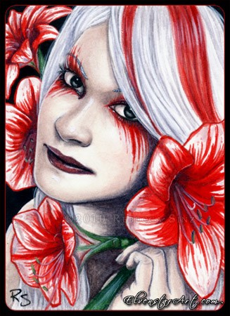 Amaryllis
