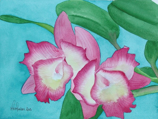 Exotic And Pink