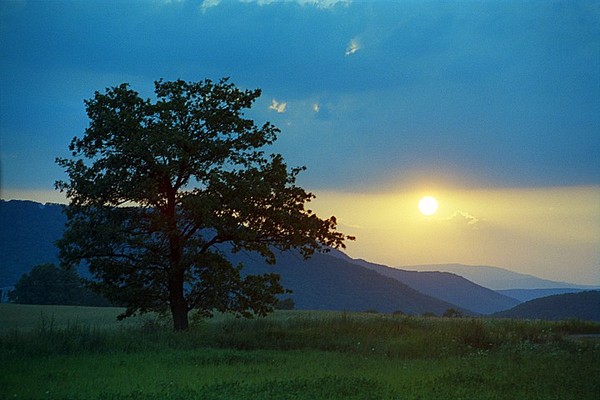 Summer Sunrise