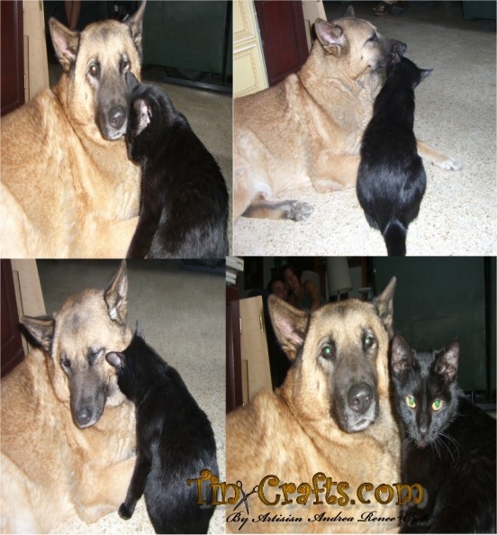 Two of my great loves Kita and Misha