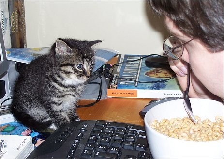 Cheerio Standoff