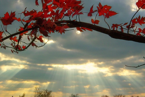 ahh..fall..
