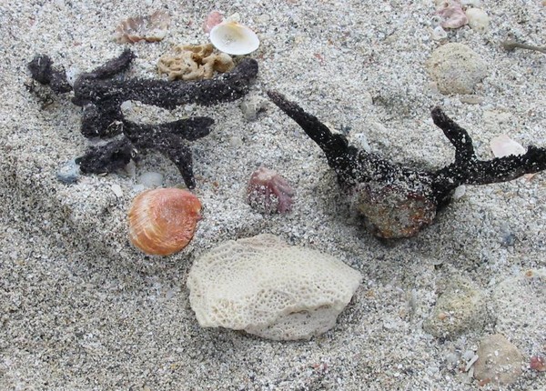 Sand Art