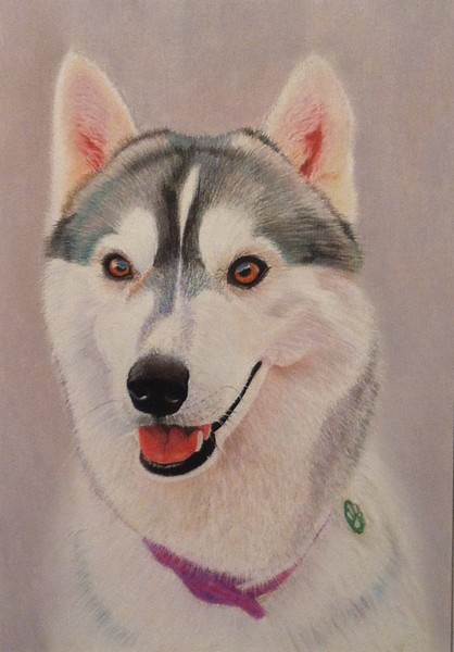 Pats Dog