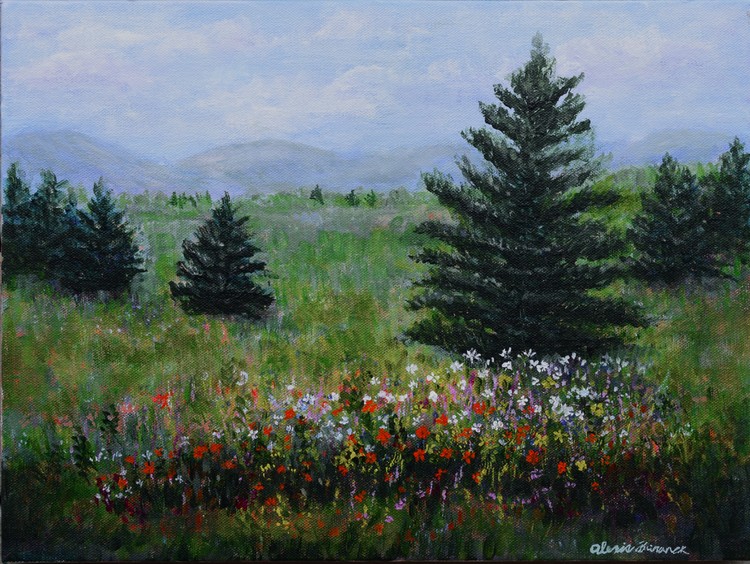 Pines and Wildflowers