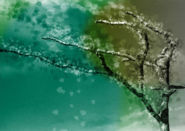 Branch