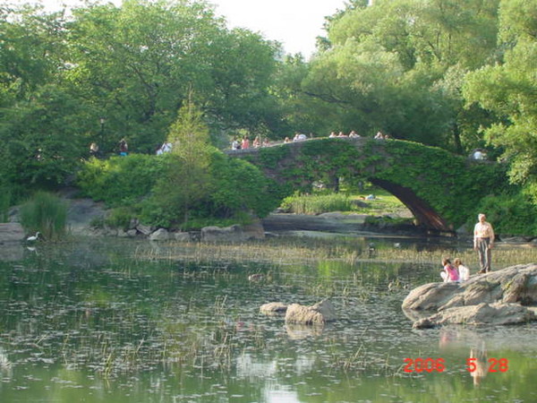 By the Pond 