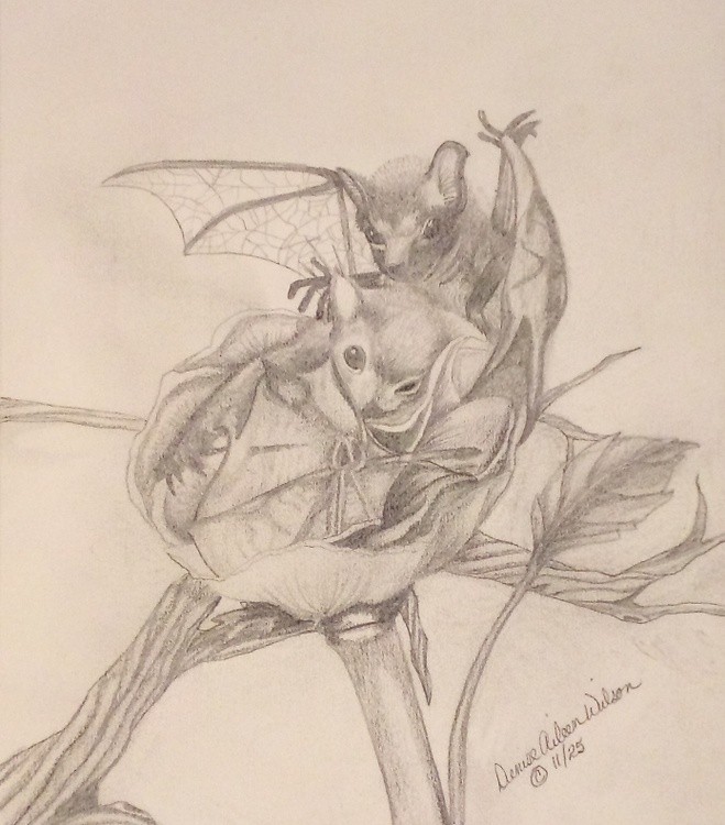 IMG 2025-11-29-22-23-40-648