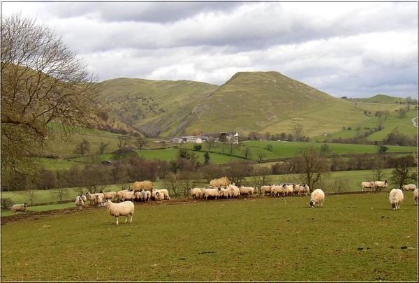 Dovedale