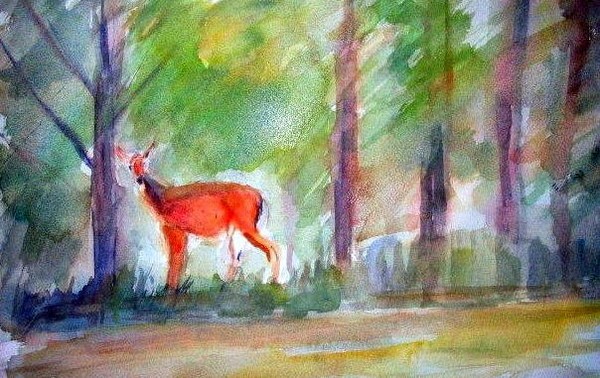 DEER IN THE WOODS