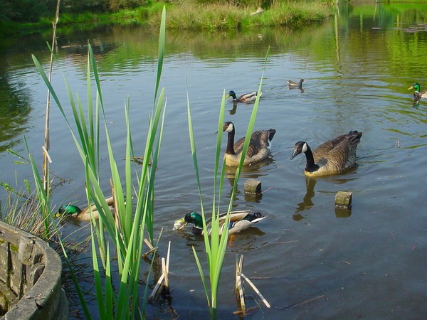 Nature on its Best
