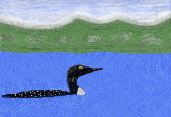 O317 Loon