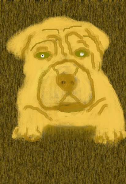 Wrinkled Pup O568