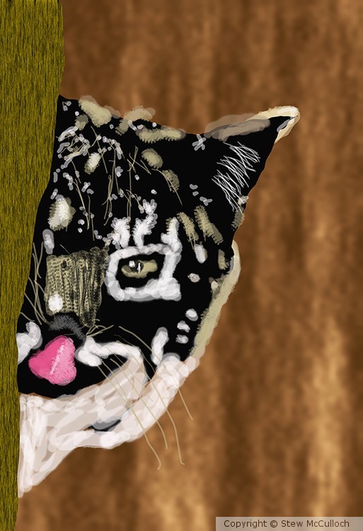 Bobcat  P237
