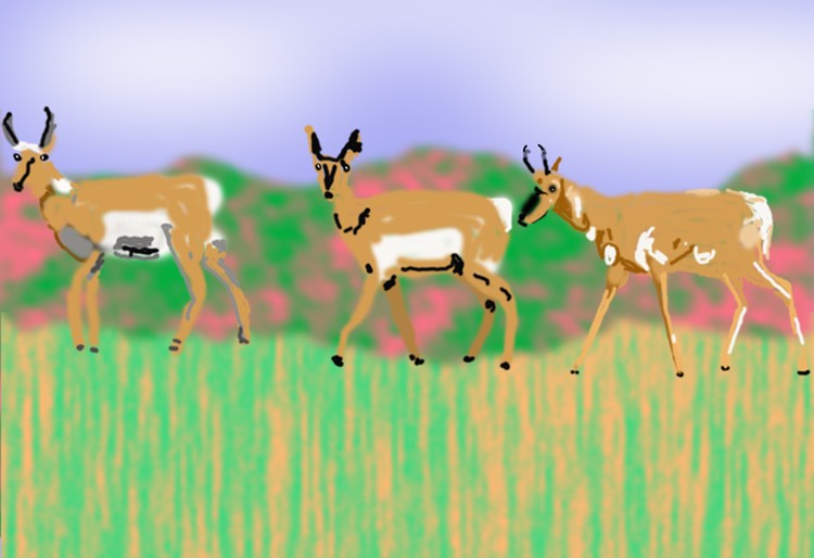 P249 sm Antelope in the Hills