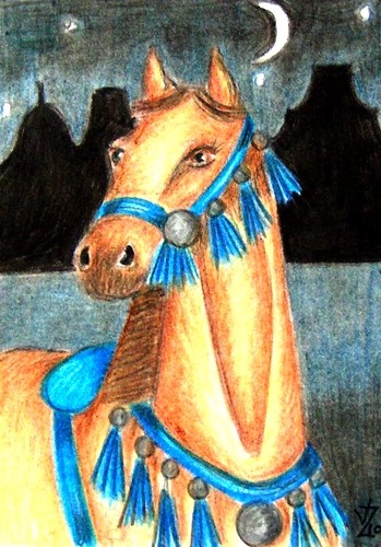 Arabian Horse