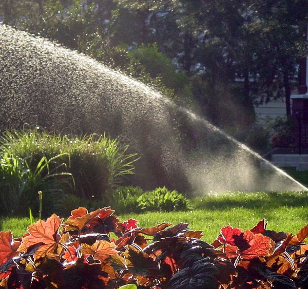 Sprinkler 3