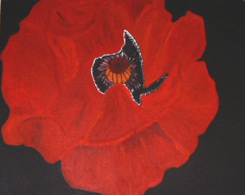 Red Poppy