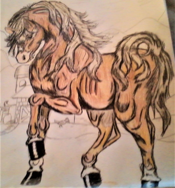 My Missouri Fox trotter Illustration in progress